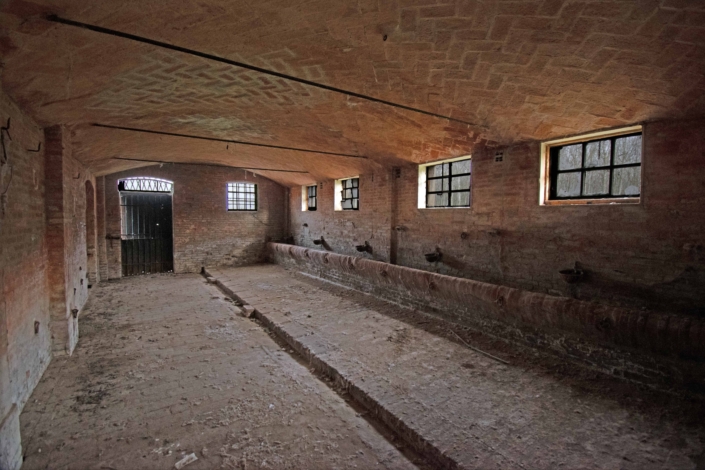 pt_stanza 7_DSC_0305